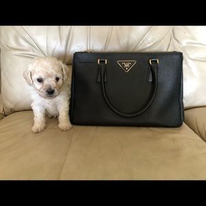 Prada double zip handbag